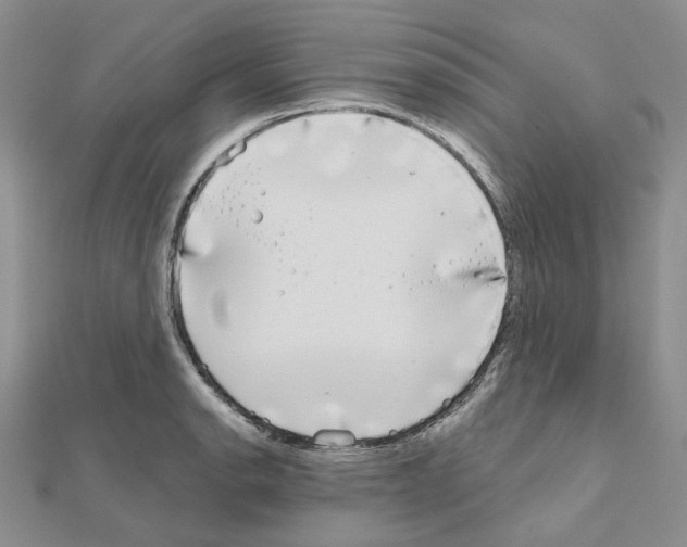 X0000111001134200907311025