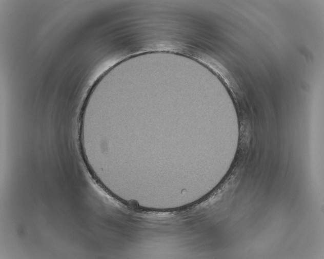 X0000111001135200907311025