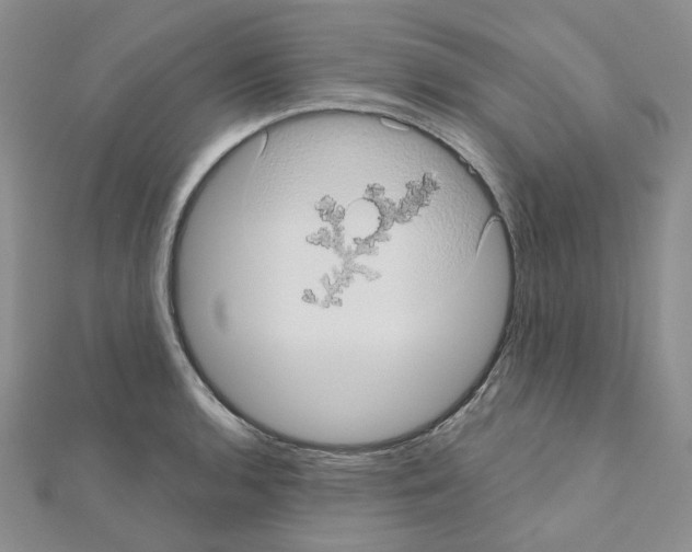 X0000111001136200907311025