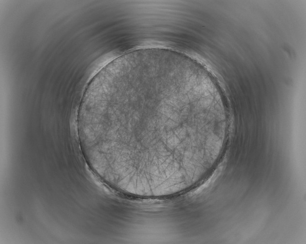 X0000111001137200907311025