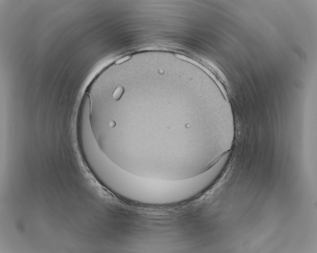 X0000111001138200907311025