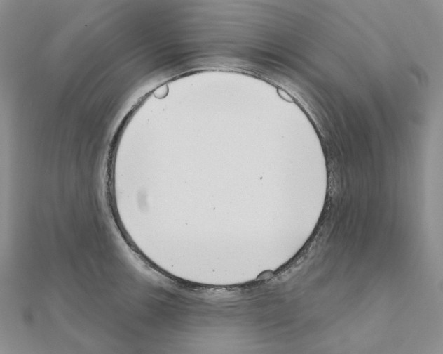 X0000111001139200907311025