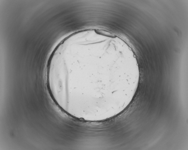 X0000111001140200907311025