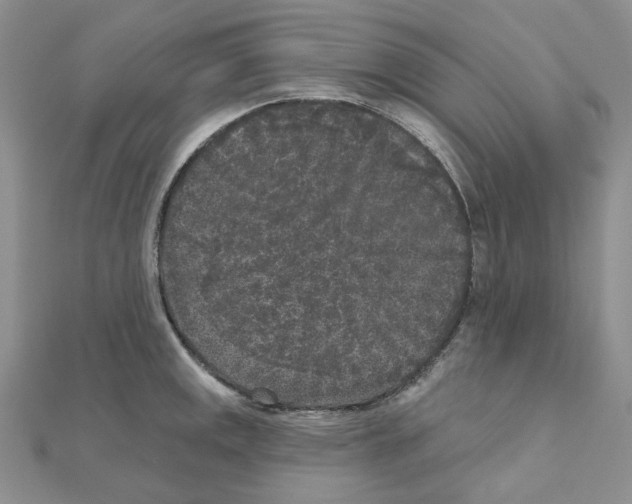 X0000111001141200907311025