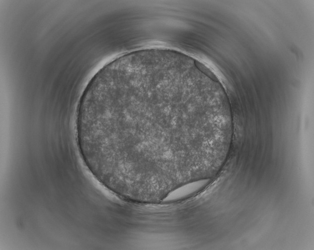 X0000111001142200907311025