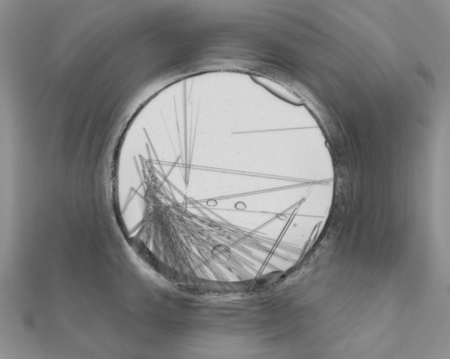 X0000111001143200907311025