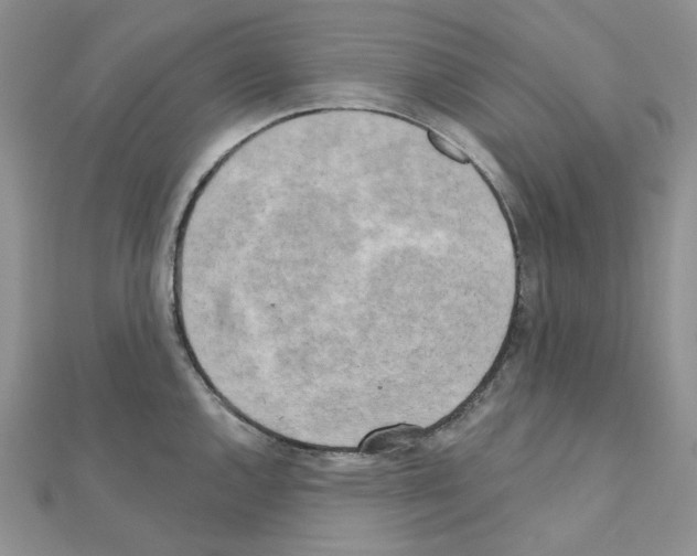 X0000111001144200907311025