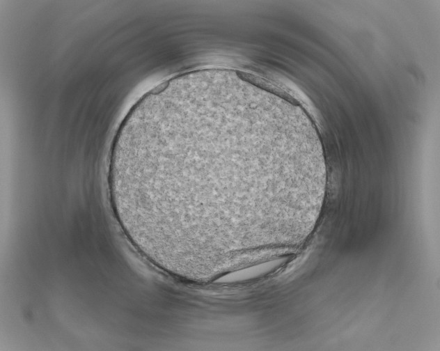 X0000111001146200907311026