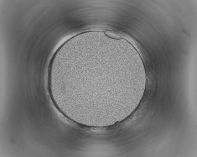 X0000111001147200907311026