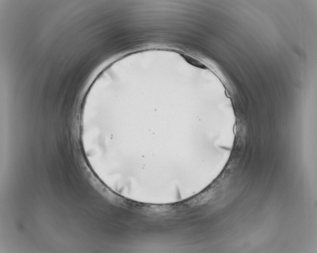 X0000111001148200907311026