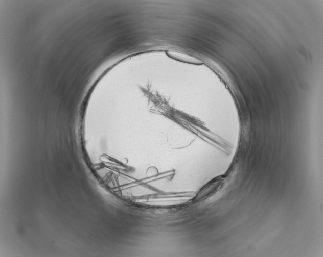 X0000111001149200907311026