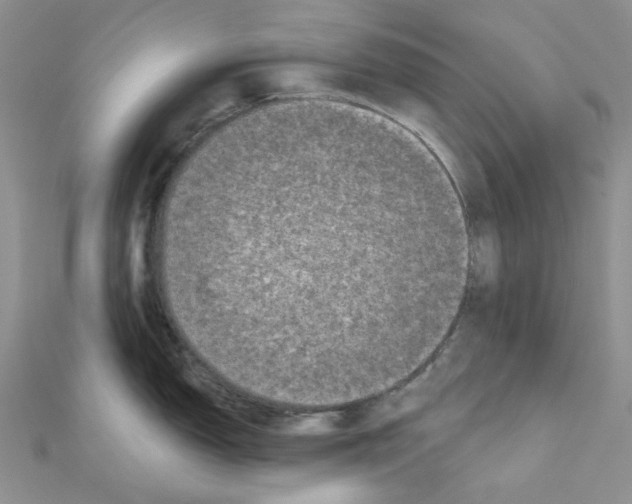 X0000111001150200907311026