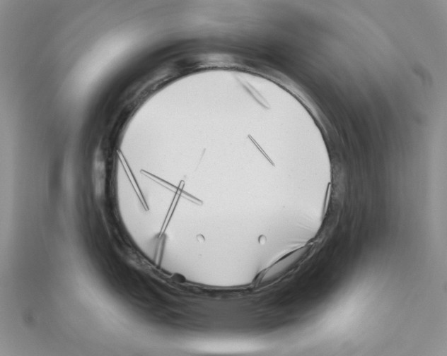 X0000111001151200907311026