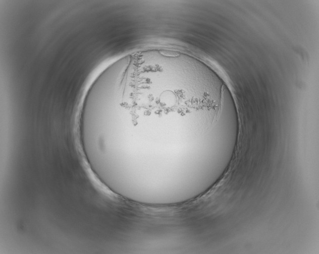 X0000111001152200907311026