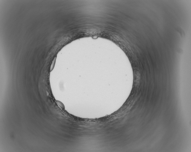 X0000111001153200907311025