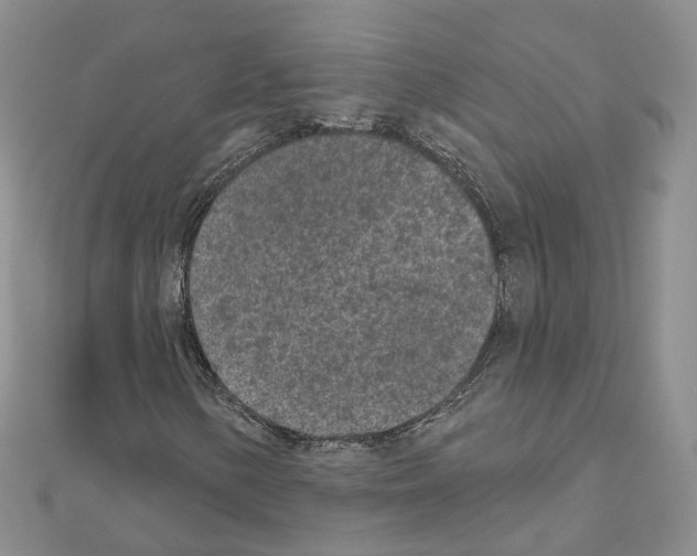 X0000111001154200907311025