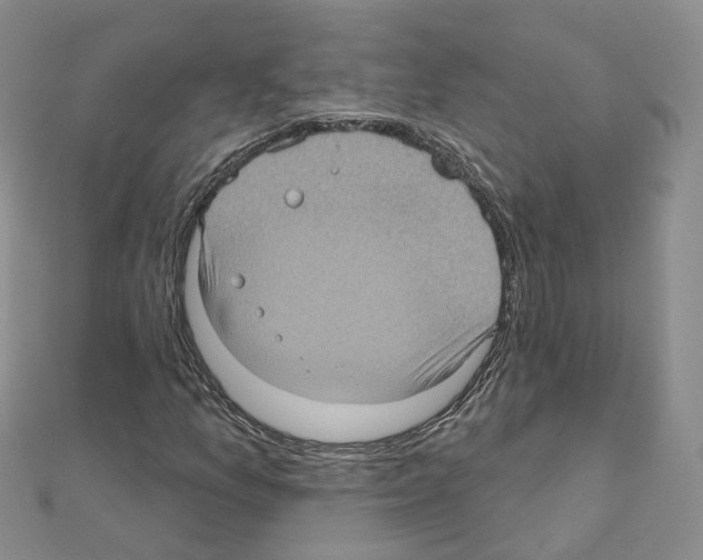 X0000111001157200907311025