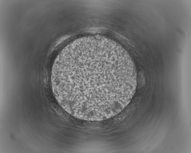 X0000111001158200907311025