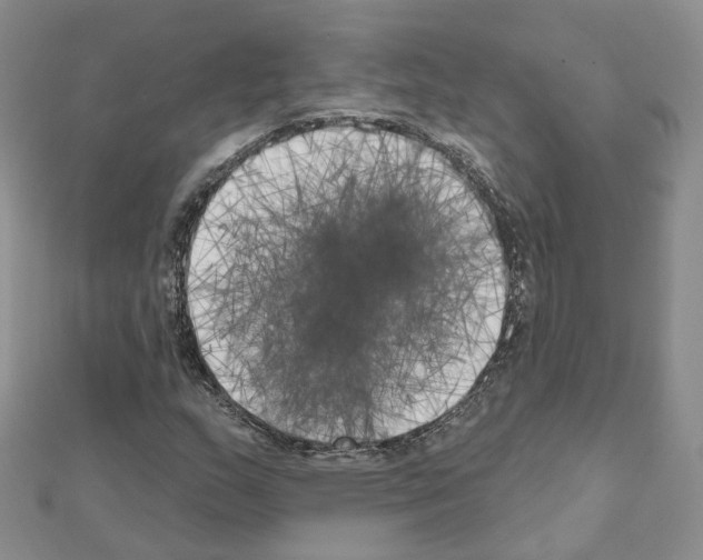 X0000111001159200907311025