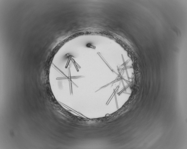 X0000111001160200907311025