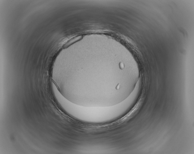 X0000111001161200907311025