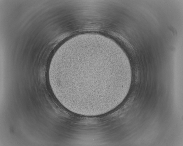 X0000111001162200907311025