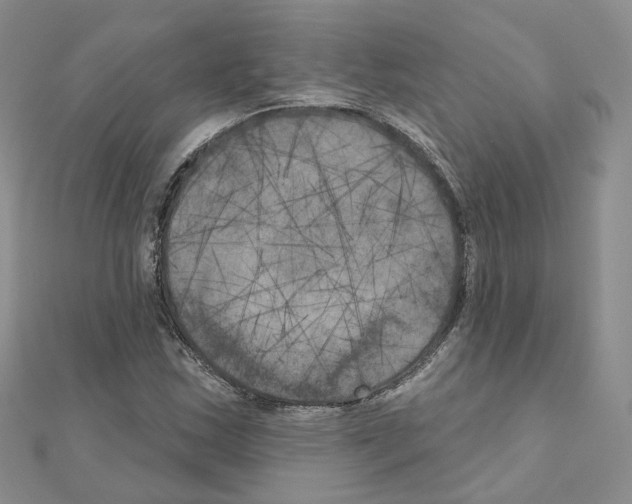 X0000111001163200907311025