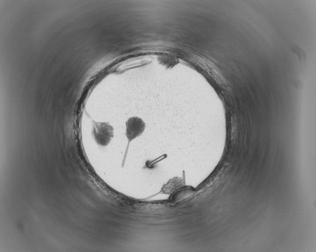 X0000111001164200907311025