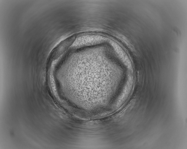 X0000111001165200907311025