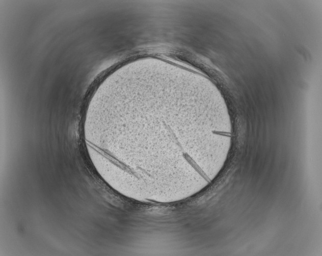 X0000111001166200907311025