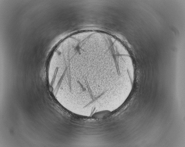 X0000111001167200907311025