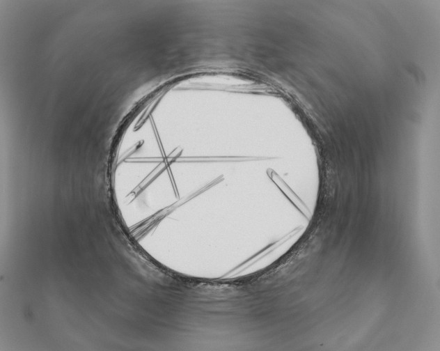 X0000111001168200907311025