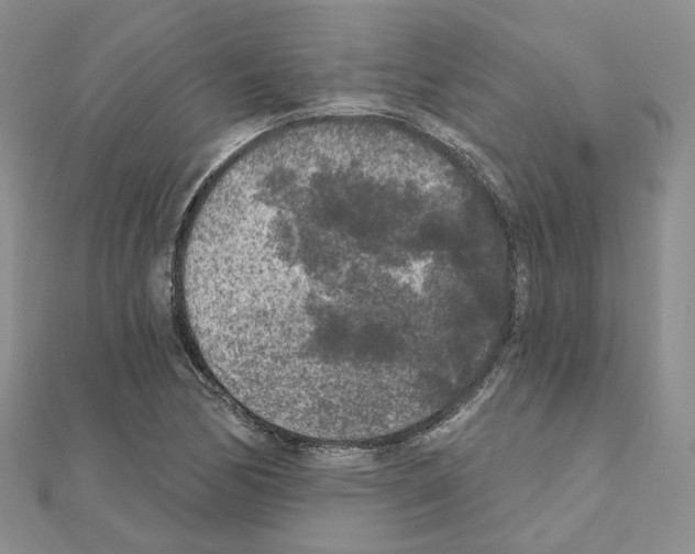 X0000111001170200907311025