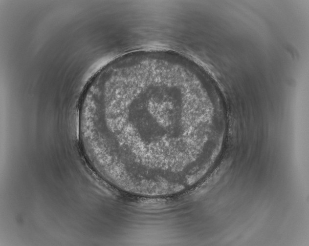 X0000111001171200907311025