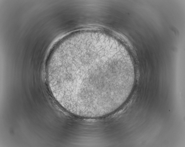 X0000111001172200907311025