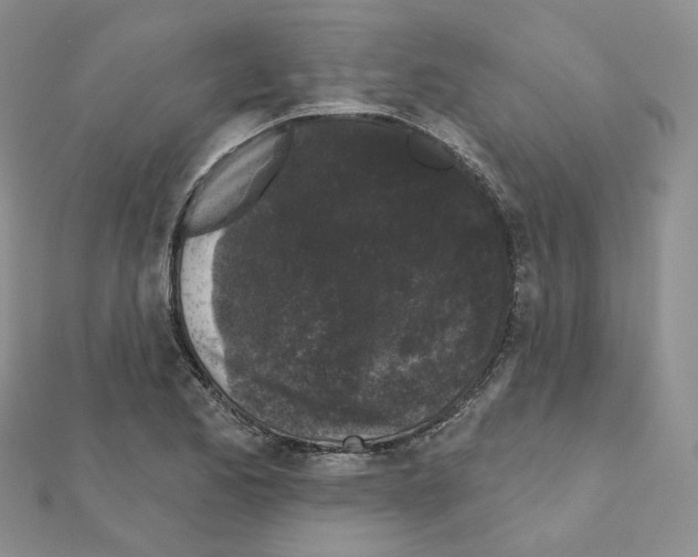 X0000111001173200907311025