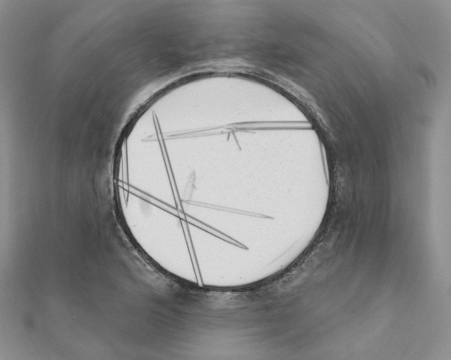 X0000111001176200907311025