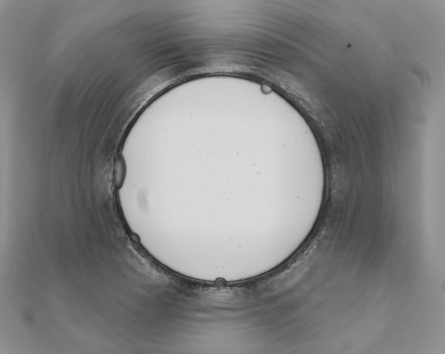 X0000111001177200907311025