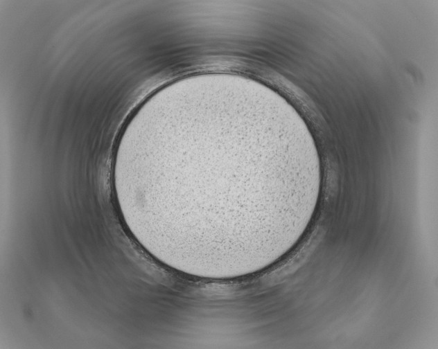 X0000111001178200907311025