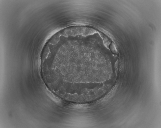 X0000111001179200907311025