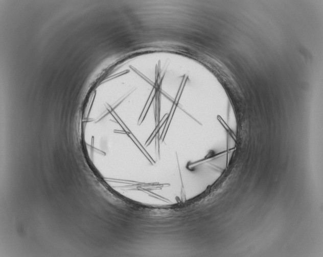 X0000111001180200907311025