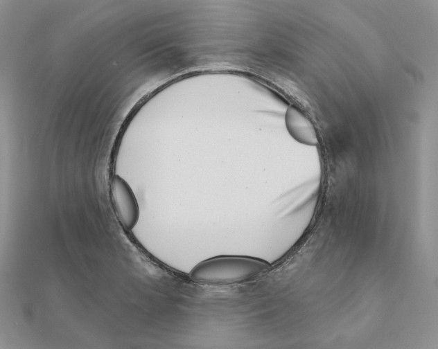 X0000111001181200907311025