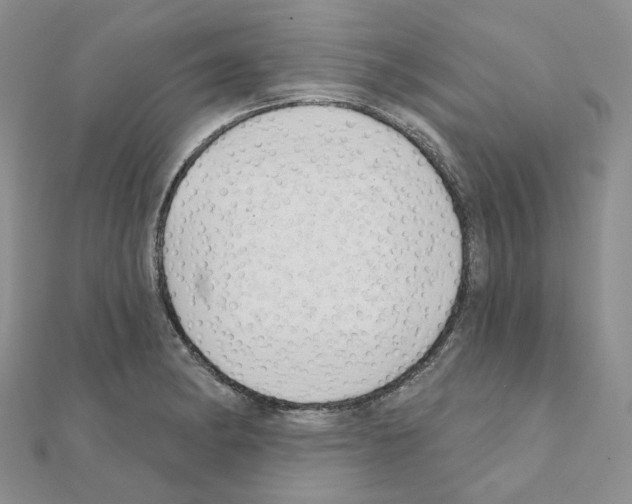 X0000111001182200907311025