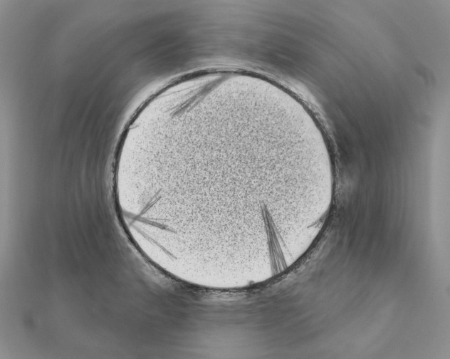 X0000111001183200907311025