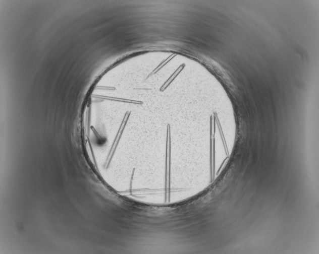 X0000111001184200907311025