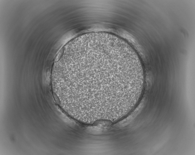 X0000111001185200907311025