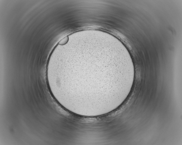 X0000111001186200907311025