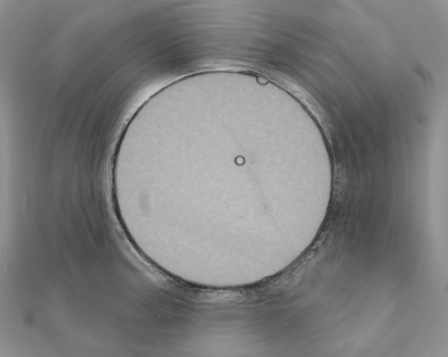 X0000111001187200907311025