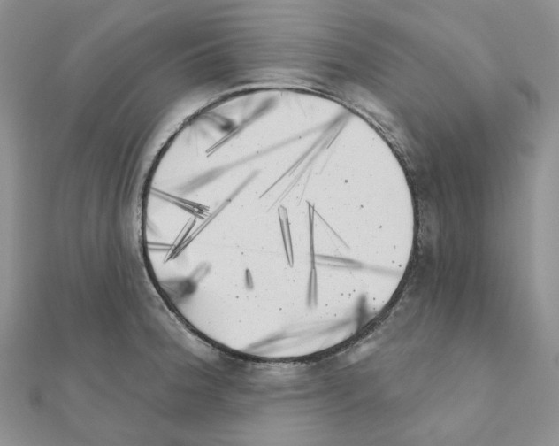 X0000111001188200907311025