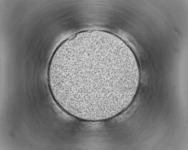 X0000111001189200907311025